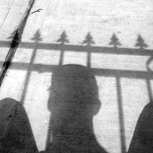 Meet your Posher, Sam - Picture 1 of 1